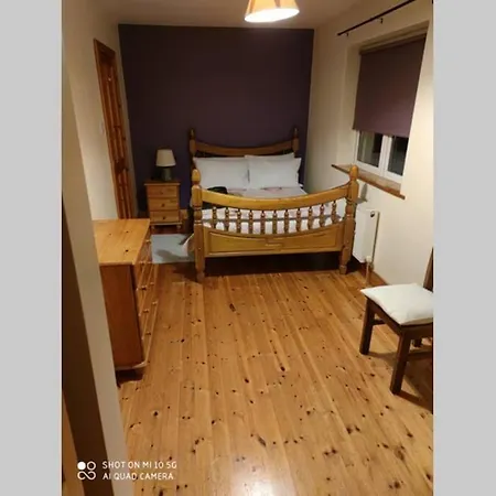 Holiday home Townhouse 3 Barrow Lane Bagenalstown