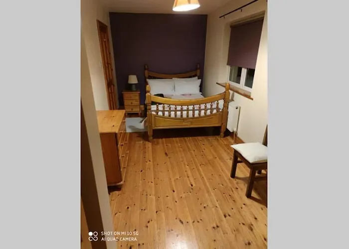 度假居 Townhouse 3 Barrow Lane Bagenalstown