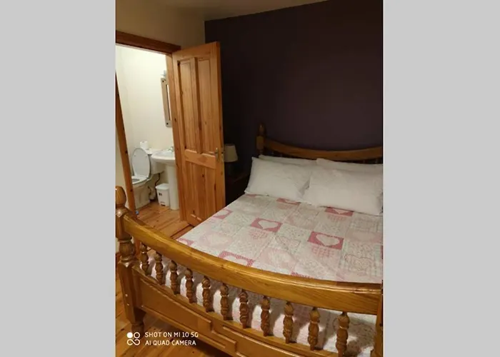 Townhouse 3 Barrow Lane * Bagenalstown